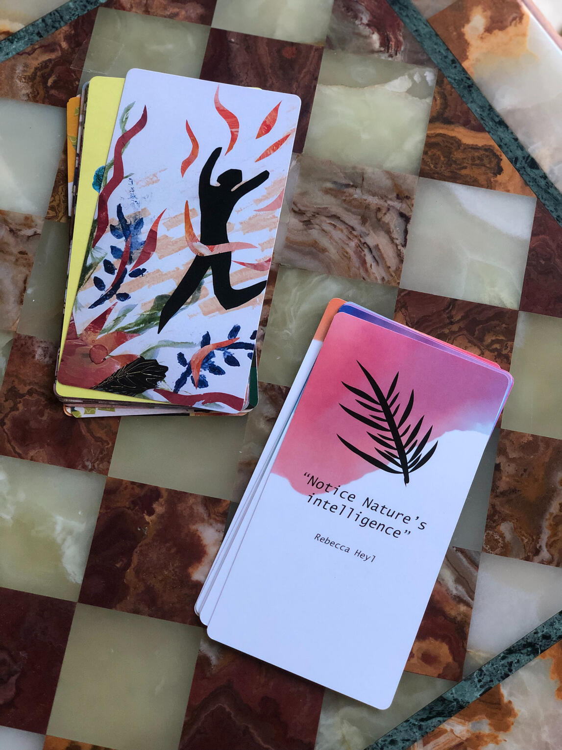 &quot;Notice Nature&#39;s intelligence&quot;